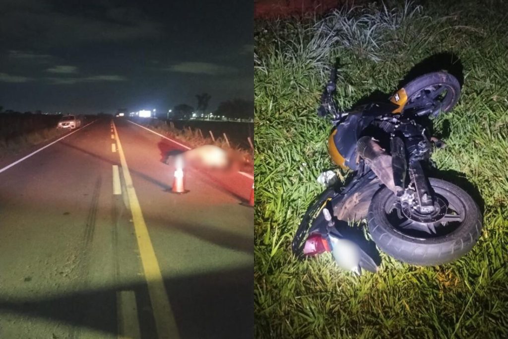 Motociclista morre após bater em vaca solta na pista em rodovia de Goiânia