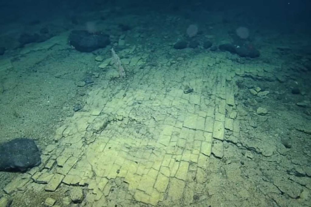 Cientistas descobrem 'estrada de tijolos amarelos' intacta no fundo do Oceano Pacífico