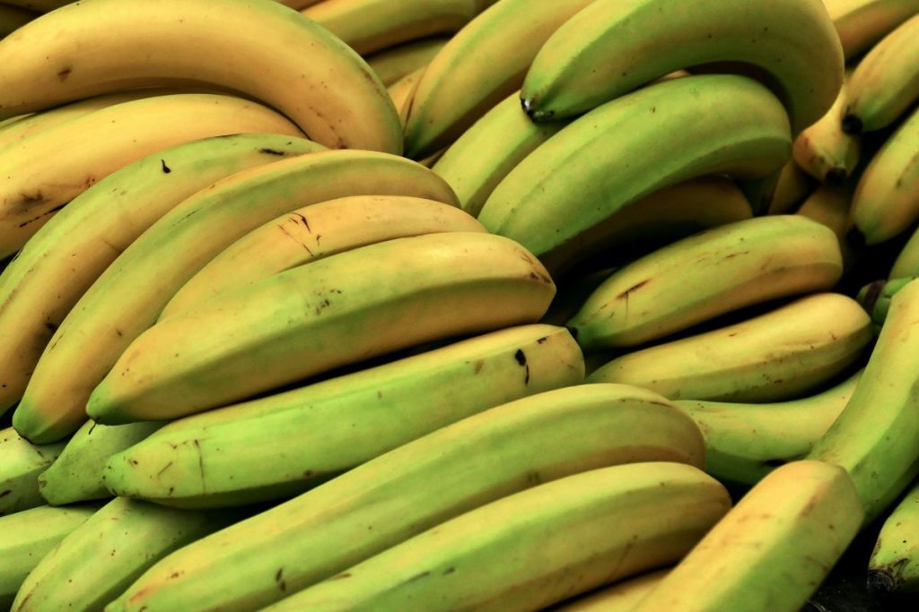 Conheça o novo tipo de banana