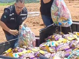 Procon descartou os materiais no aterro municipal. (Foto: Divulgação)