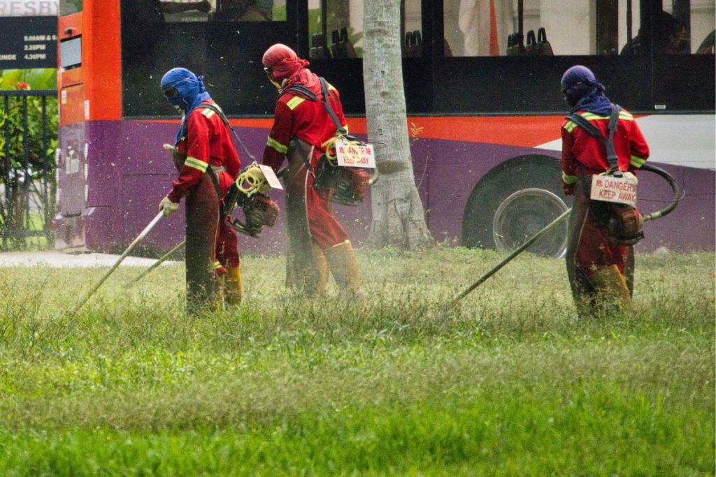 Donos de imóveis devem ficar atentos: nova regra proíbe cortar grama entre meio-dia e 16h e prevê multas neste país