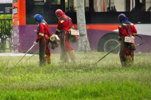 Donos de imóveis devem ficar atentos: nova regra proíbe cortar grama entre meio-dia e 16h e prevê multas neste país