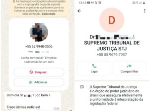Para dar maior credibilidade ao golpe, criminoso também se passou por um servidor do STJ. (Foto: Reprodução)