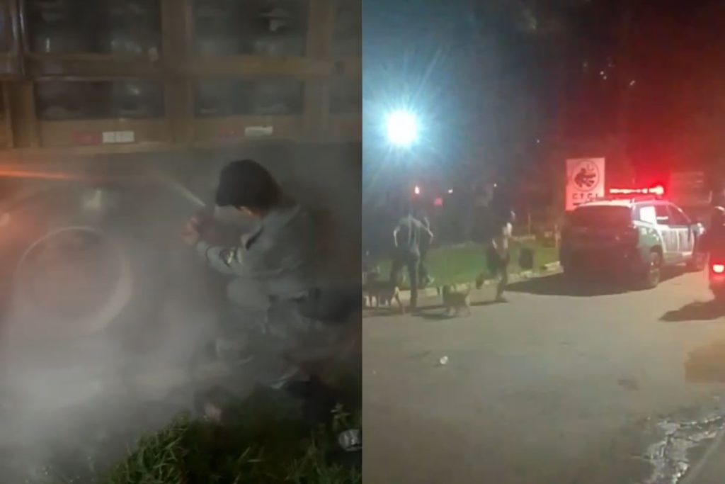 Ação rápida de policiais e moradores evita explosão de caminhão carregado com botijões de gás na BR-060