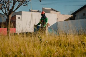 Proprietários de lotes com mato alto receberão multa.