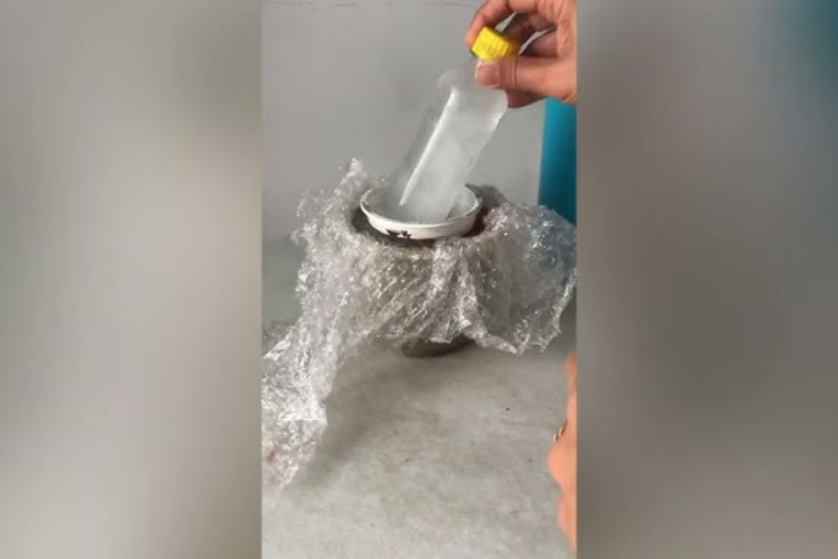 Colocar plástico-bolha na geladeira: para que serve e por que é recomendado