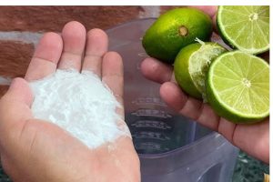 mistura de limão com bicarbonato