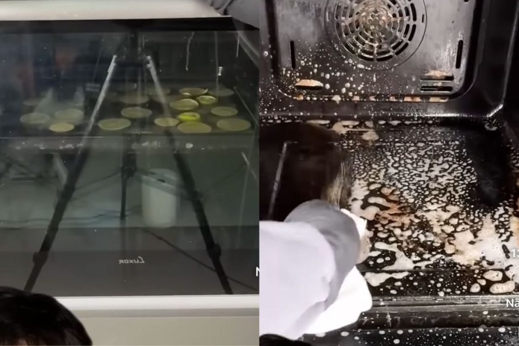 Truque para limpar o forno