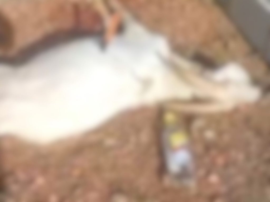 Oferenda com bode foi flagrada por moradores do distrito. (Foto: reprodução)