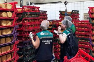 Fábrica é fechada após infestação de baratas