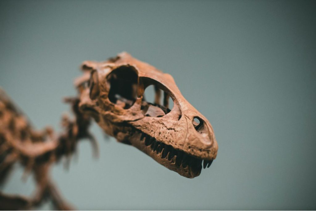 Cientistas descobrem dinossauro minúsculo