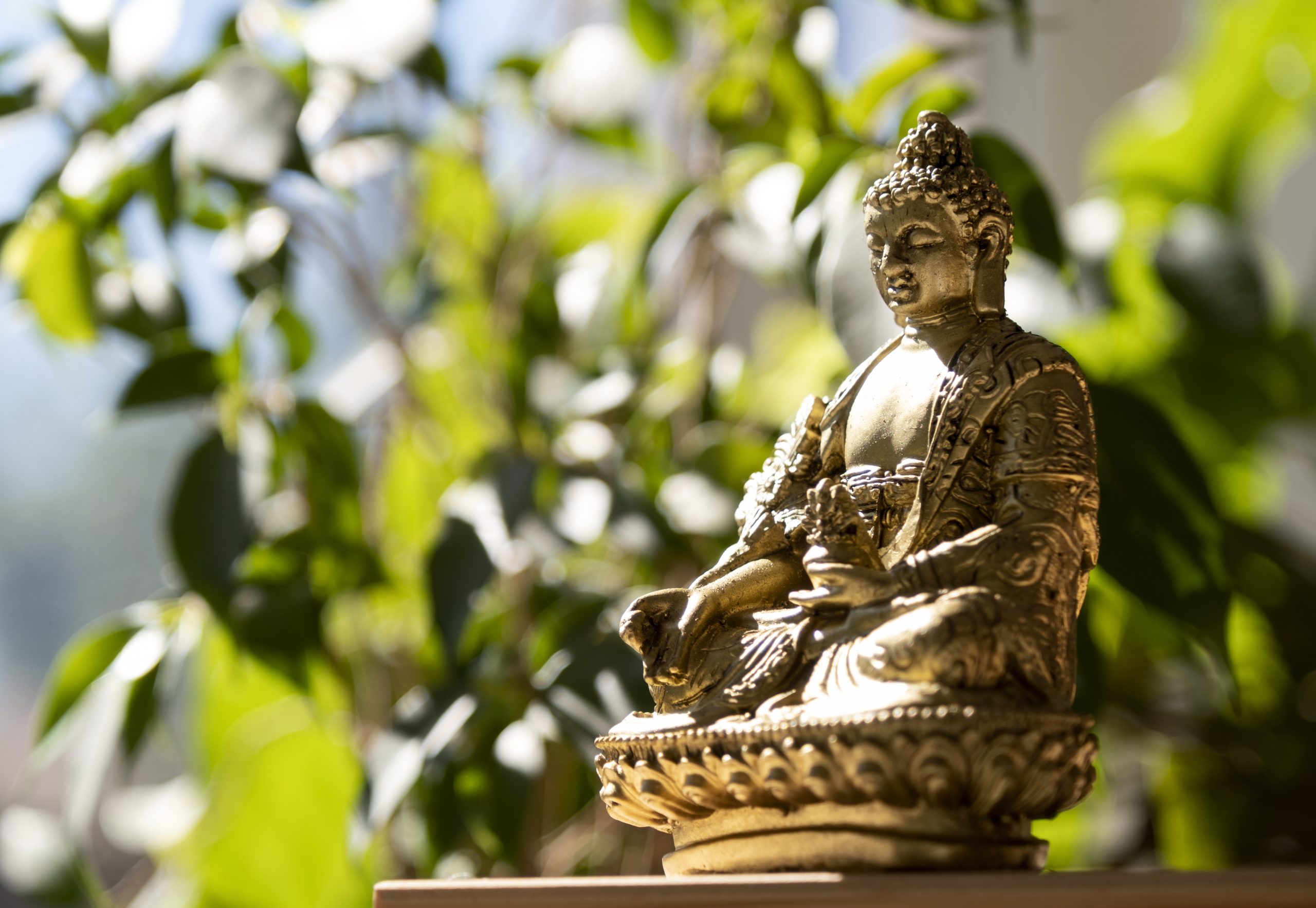 “Não faças aos outros o que não desejes que te façam” segue atual e necessário