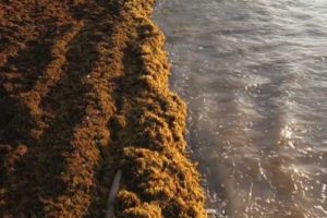 Conheça o mar mais curioso do planeta