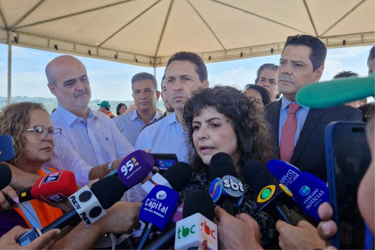 A secretária estadual de Meio Ambiente (Semad), Andrea Vulcanis,