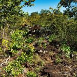 Muralha de pedra em Goiás intriga pesquisadores e guarda mistérios de milhões de anos