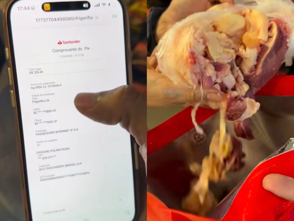 Registro do golpe do pix já ultrapassa 4 milhões de visualizações. (Foto: @frigorificogr)