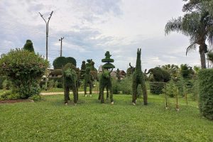 Jardineiro de 89 anos podou mais de 200 formas em árvores e criou o espaço mais bonito do Brasil