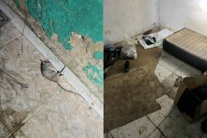 criança resgatada em Senador Canedo