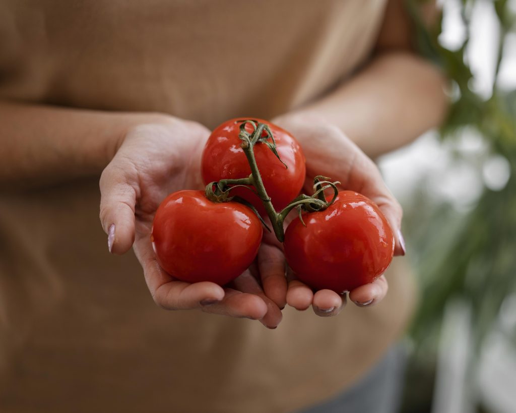 O lugar ideal para guardar o tomate faz toda a diferença na conservação e no sabor