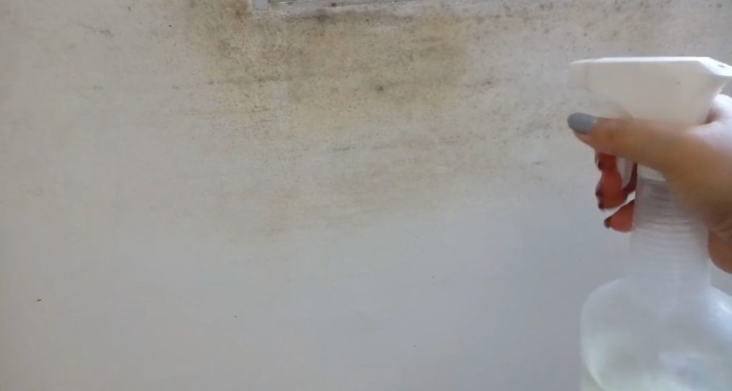 Como acabar de vez com o mofo na parede