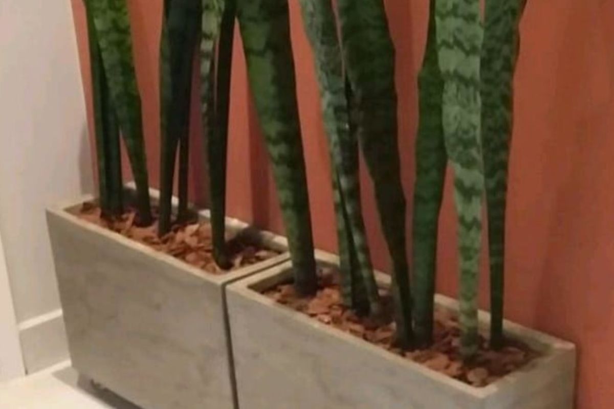 Adeus aos vasos tradicionais: nova tendência para varandas e terraços em 2026 usa estruturas elevadas para decorar e organizar o ambiente.