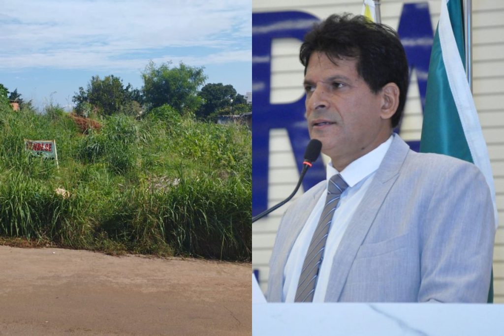 Vizinha denuncia que João da Luz se recusa a limpar lote particular que ele tem no Setor Sul: “diz que a responsabilidade é do Márcio”