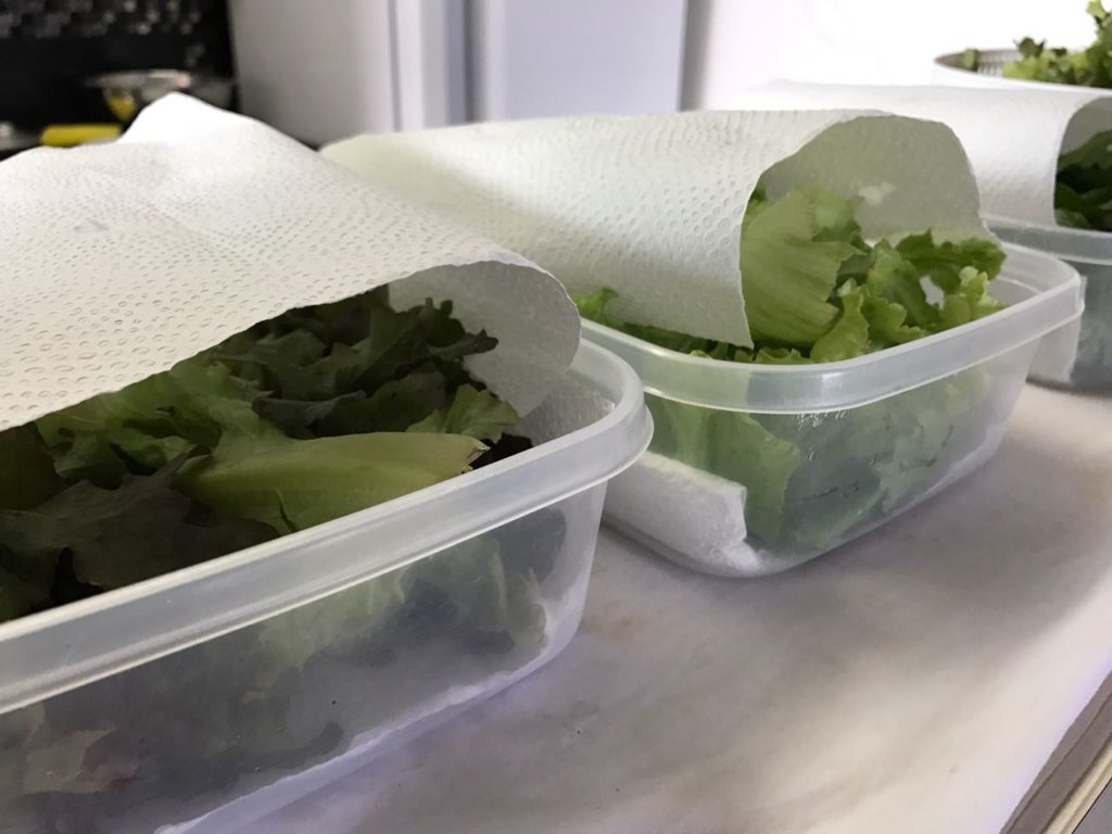 Truque com papel-toalha faz folhas durarem mais na geladeira. Veja como conservar verduras por mais tempo e evitar desperdício.