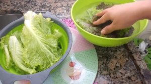 Truque com papel-toalha faz folhas durarem mais na geladeira. Veja como conservar verduras por mais tempo e evitar desperdício.
