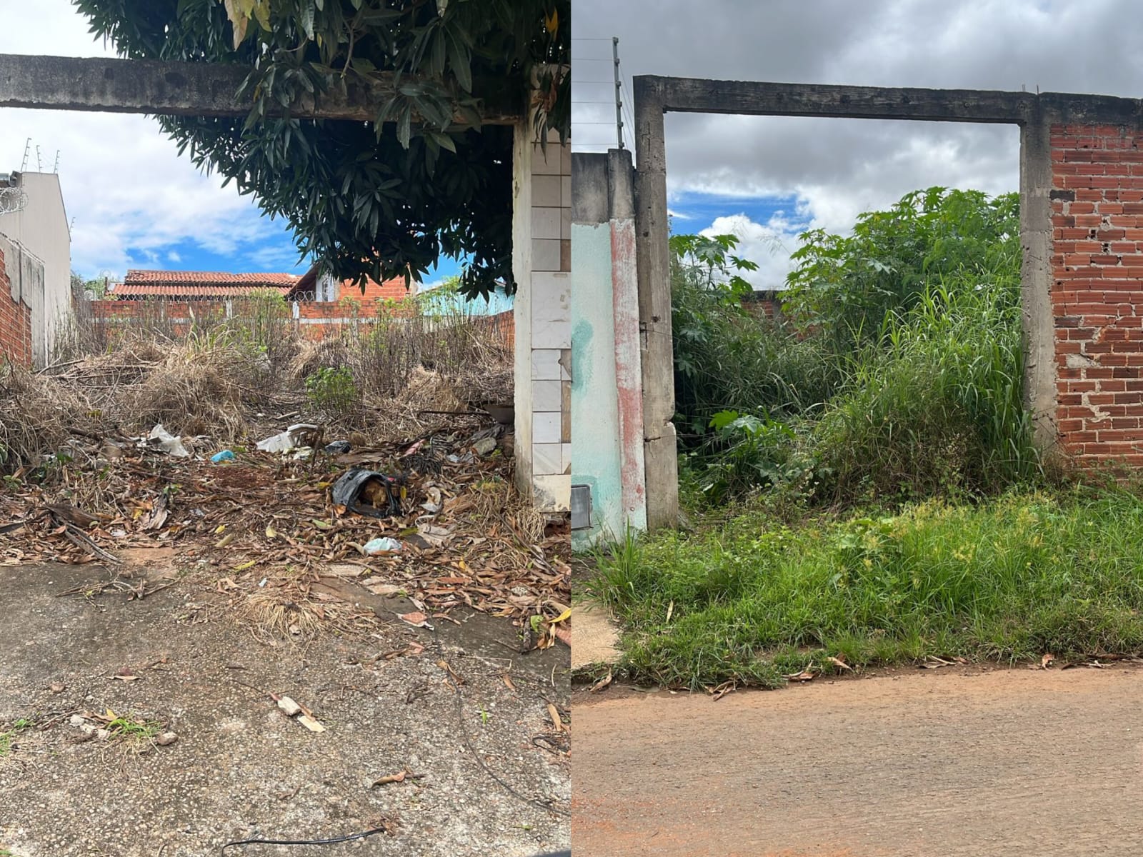 Lotes com mato alto também foram flagrados pela população. (Foto: Reprodução)