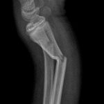 764798-20260327-211801-61c16b