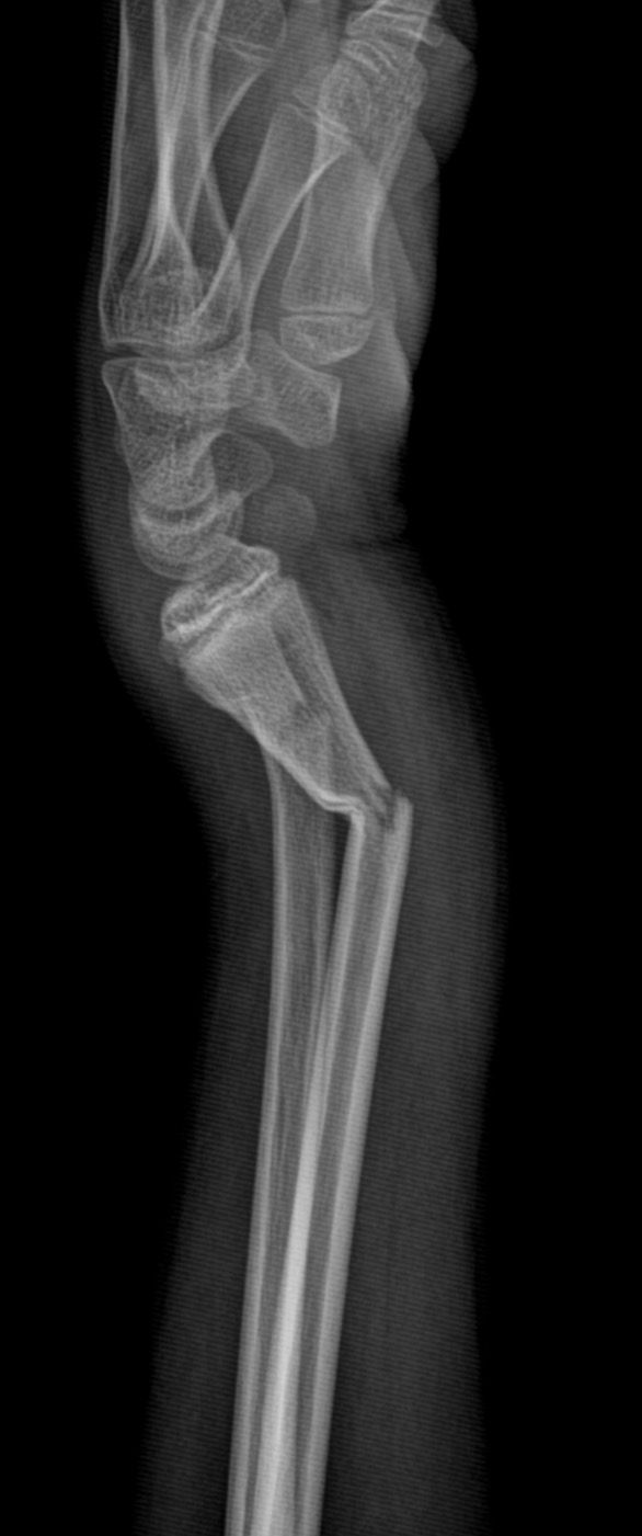 764798-20260327-211801-61c16b