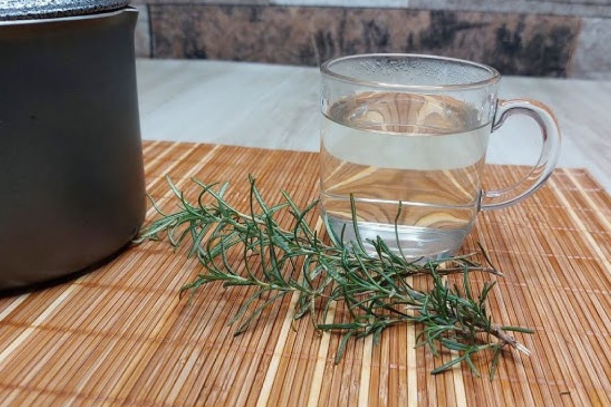 Ferver alecrim com gotas de limão: para que serve essa mistura e quais são os benefícios?