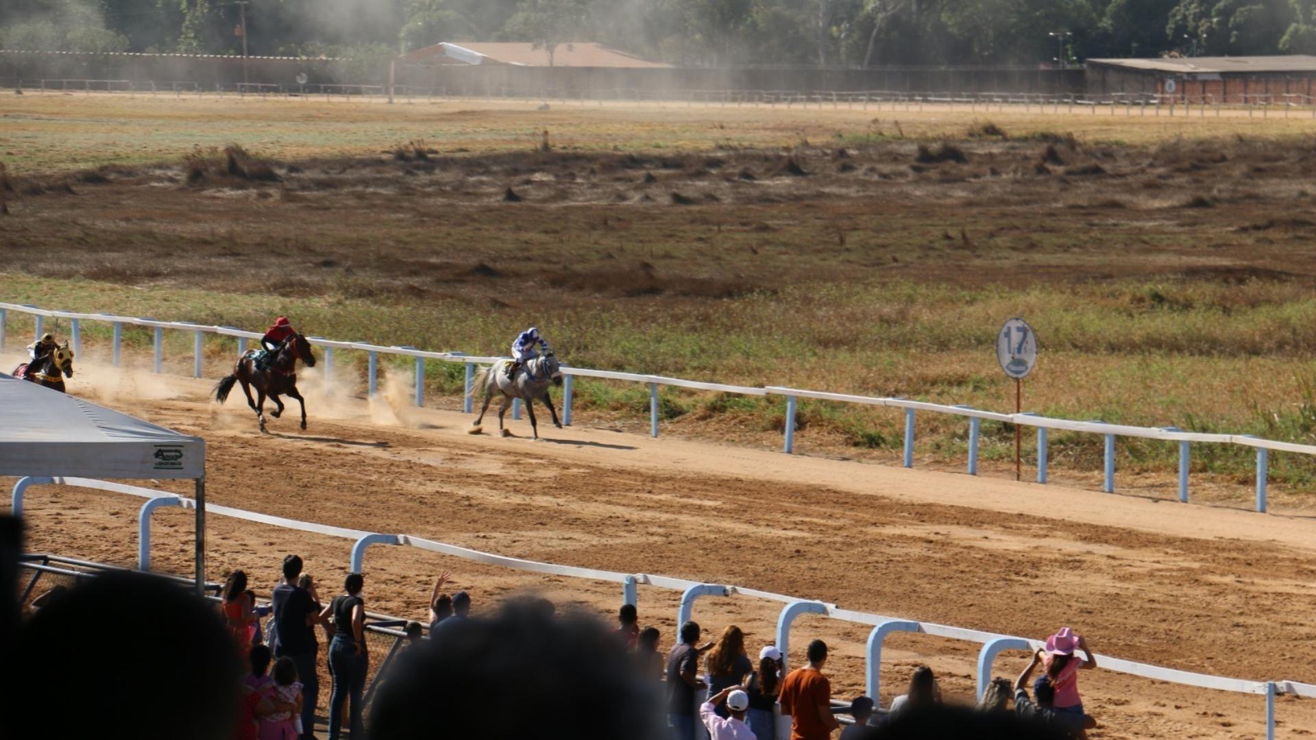 Goiânia volta a receber corridas de cavalos com apostas a partir de R$ 5