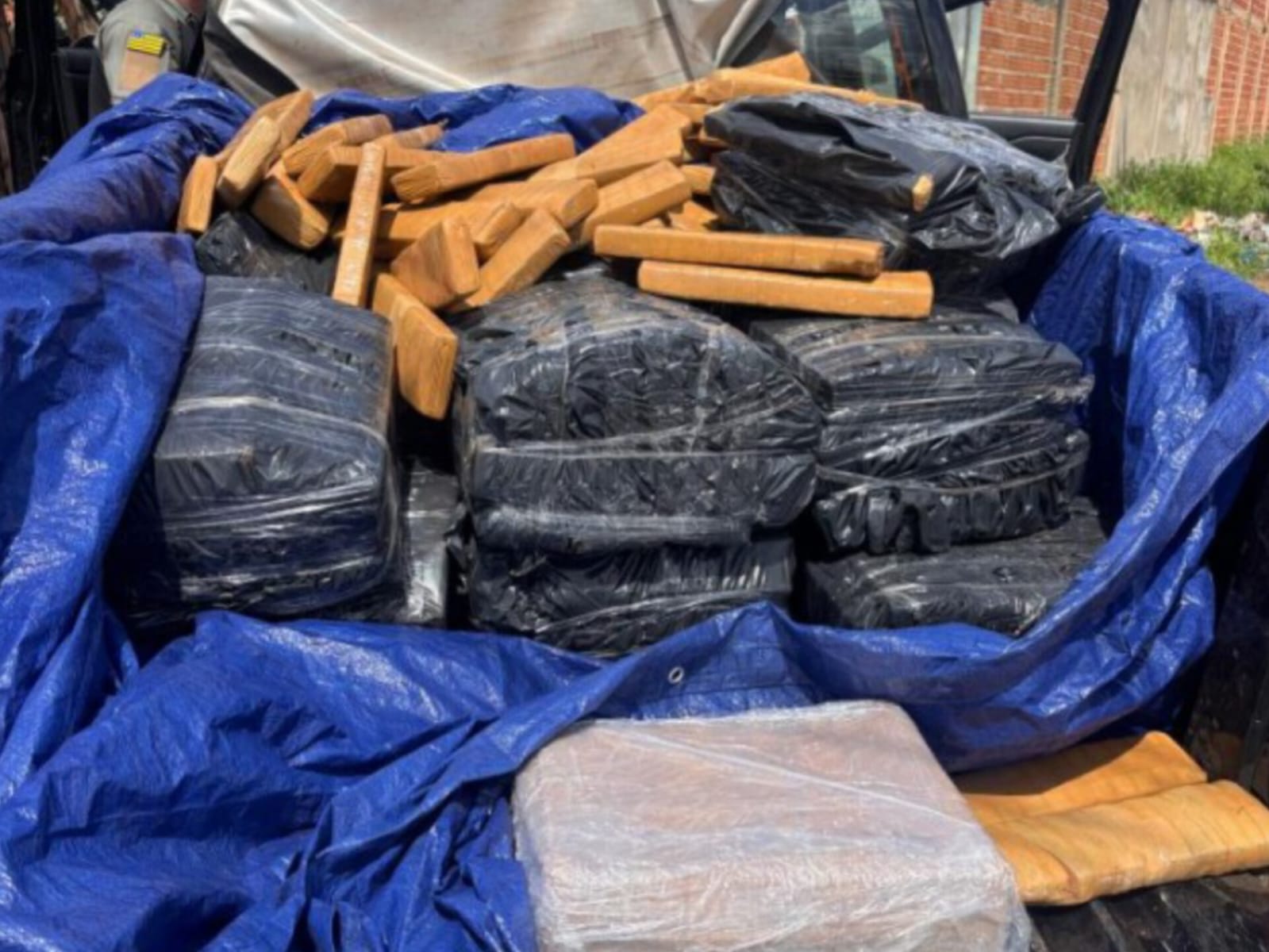 Carga foi avaliada emquase meia tonelada. (Foto: Reprodução)