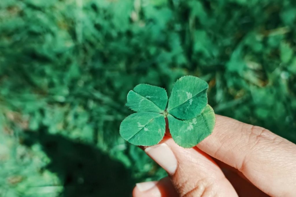 signos que vão viver o auge da sorte