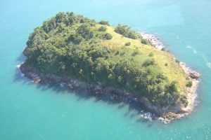 A ilha proibida com mais de 10 mil cobras venenosas onde nenhum humano pode colocar os pés