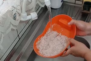 Por que você nunca deve lavar o arroz?