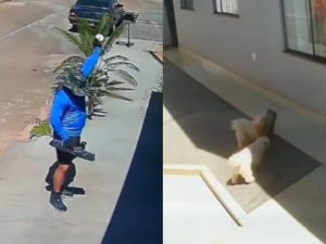 Pacote foi arremessado por cima do muro. (Foto: Reprodução)