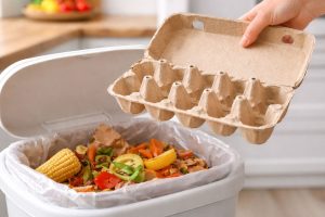 Não jogue fora a caixa de ovo