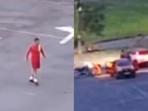 Cachorro foi morto por um membro do Corpo de Bombeiros. (Foto: @oloaresferreira)