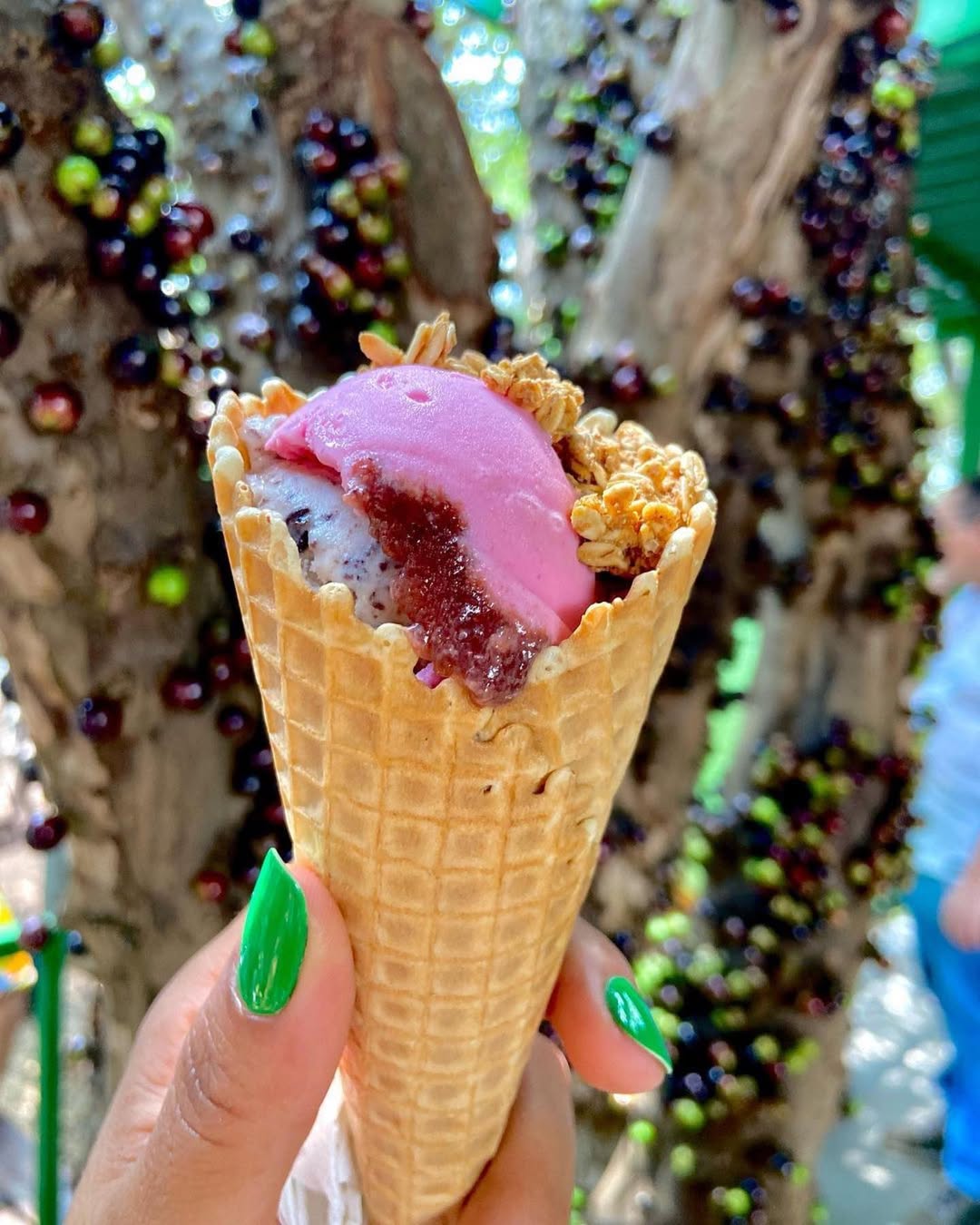 Hidrolândia (GO) abriga o maior pomar de jabuticaba do mundo e ainda produz vinhos e derivados da fruta. Veja como visitar.