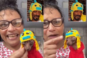 Goiana viraliza após vestir cachorro como Snoop Dogg e receber curtida do rapper