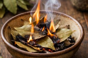 ueimar folhas de louro em casa pode trazer benefícios