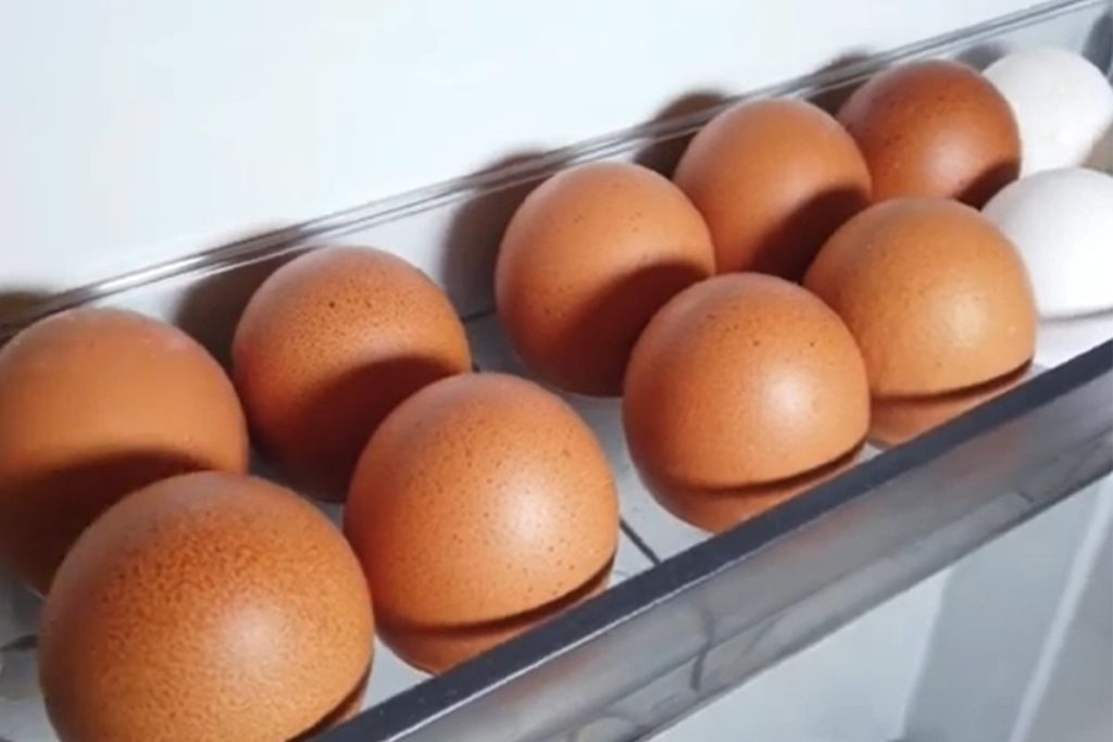 não deve guardar ovos na porta da geladeira