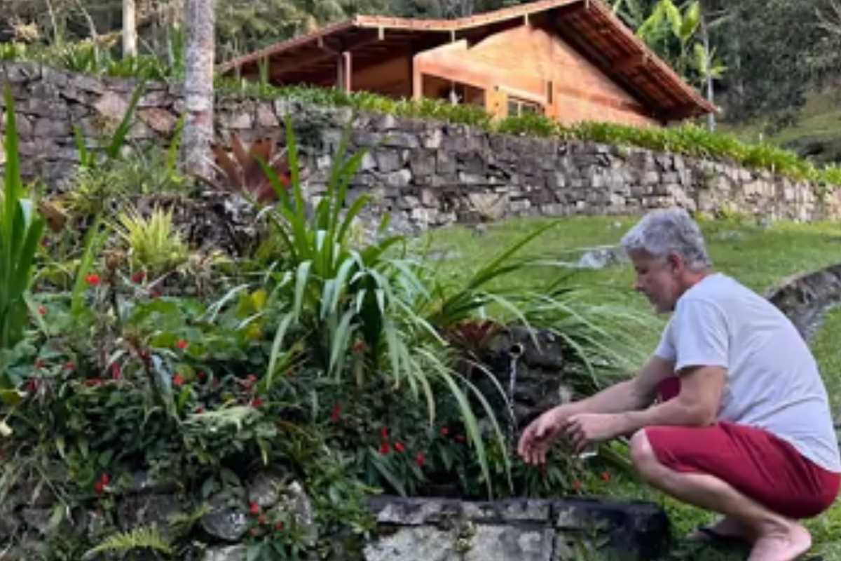 Longe das vilanias da TV, ator de Avenida Brasil vive isolado e cultiva horta orgânica aos 63