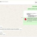 770171-20260411-002705-8636b2