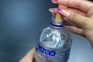 Veja para que serve diluir canela no álcool e como usar essa mistura caseira para limpeza, aroma e repelência.