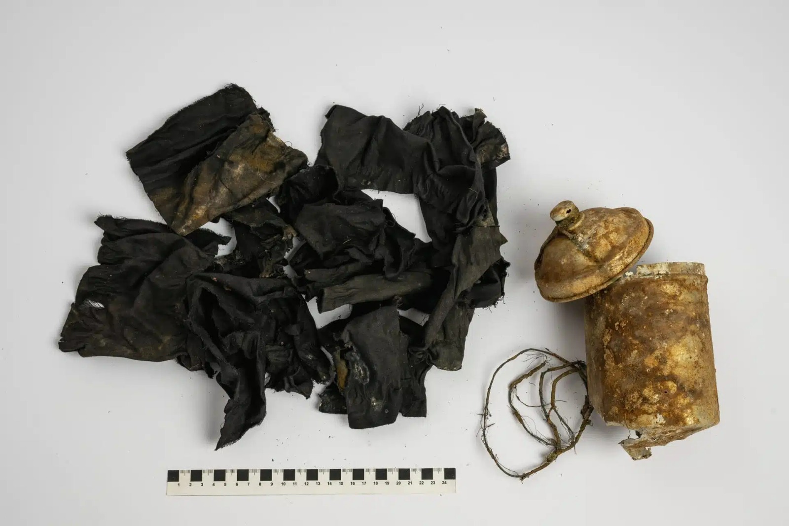 R$ 1,6 milhão no mato: 600 moedas de ouro dentro de uma lata foram encontradas por acaso em meio à floresta