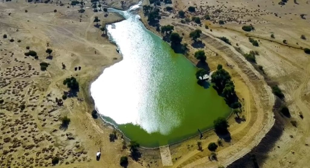 O milagre no deserto: Arábia Saudita usa água de esgoto tratada para criar corredor verde gigante em meio à areia