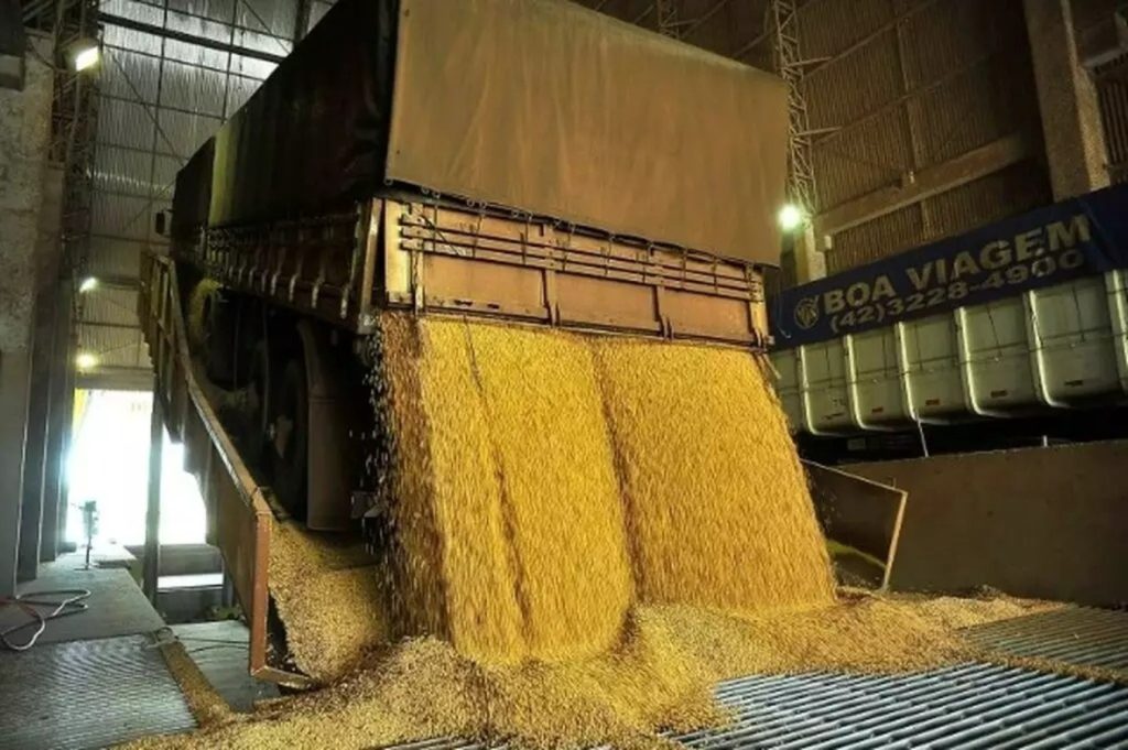 Justiça decide: Caminhoneiro terá que pagar R$ 87 mil por desaparecimento de carga de soja